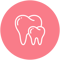 Size of teeth