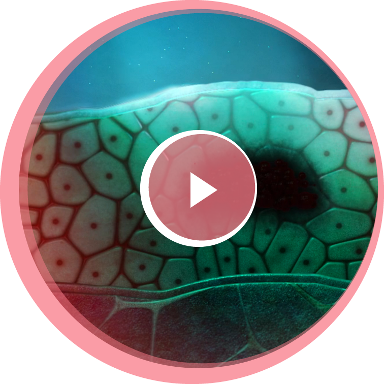 oral-cancer-exam